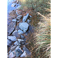 Day after the king tide York county Poquoson image